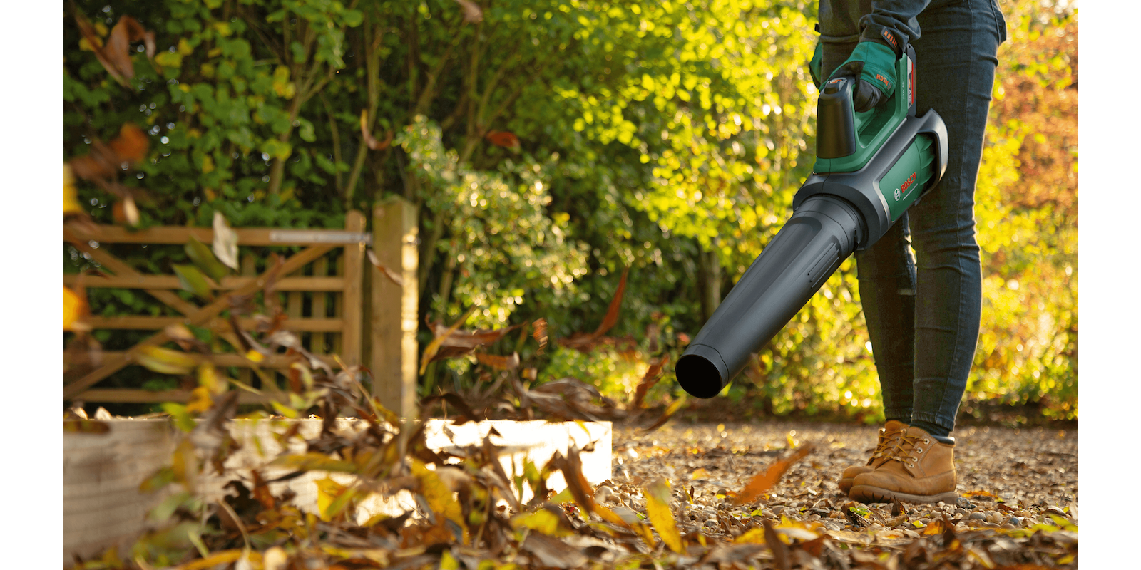 AdvancedLeafBlower 36V-750