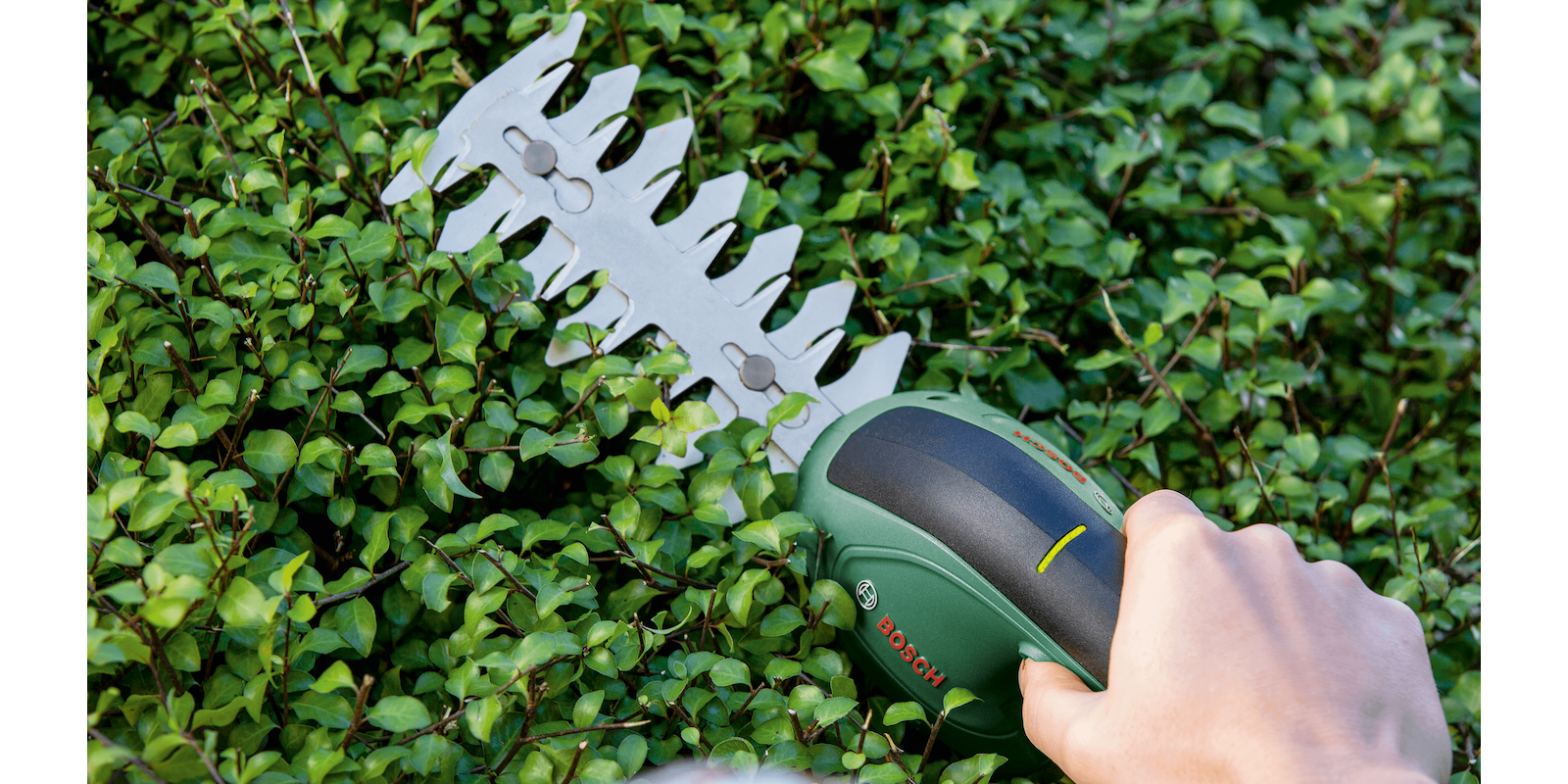 EasyShear