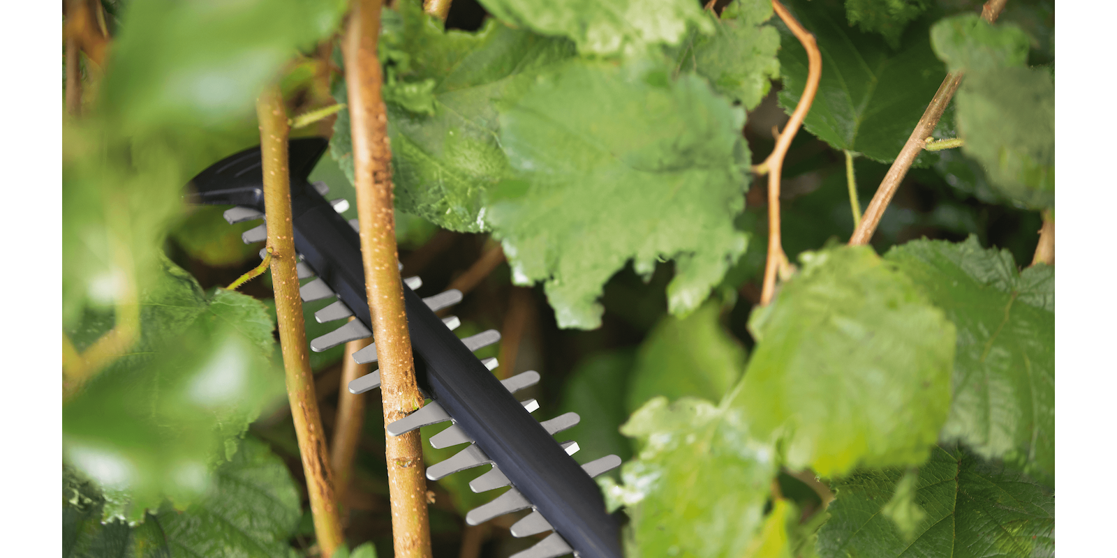 UniversalHedgeCut 18V-55