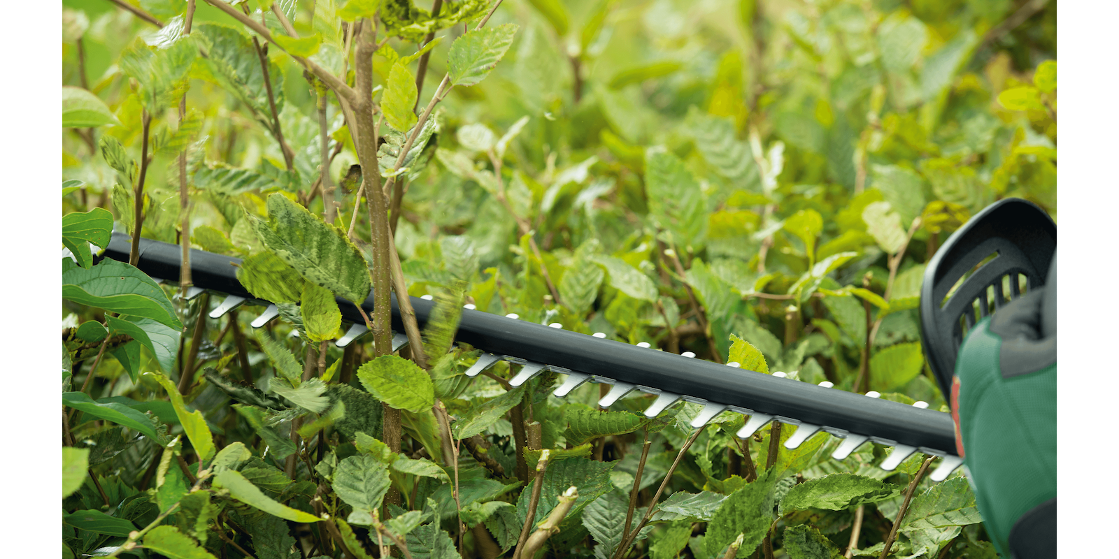 UniversalHedgeCut 18V-50