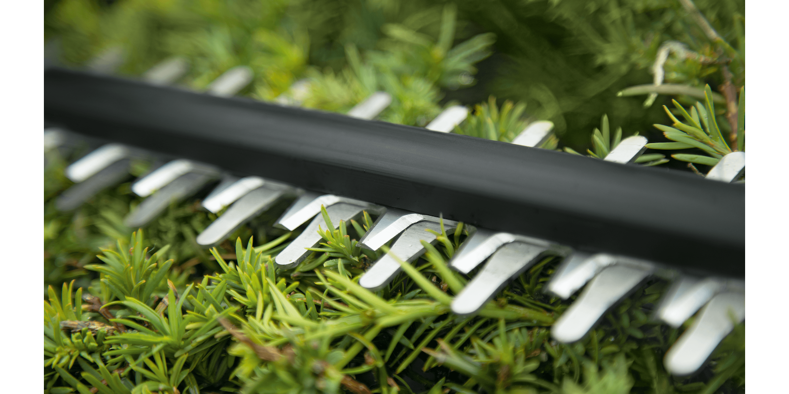UniversalHedgeCut 18V-55